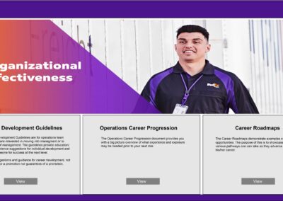 OE_Career_Guidelines final mockup